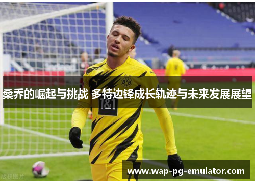 桑乔的崛起与挑战 多特边锋成长轨迹与未来发展展望
