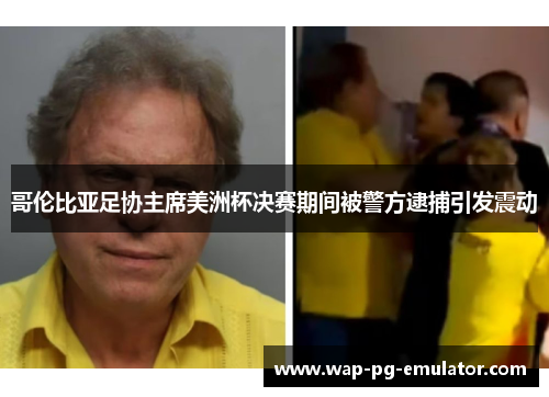 哥伦比亚足协主席美洲杯决赛期间被警方逮捕引发震动
