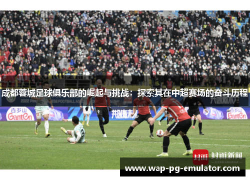 成都蓉城足球俱乐部的崛起与挑战：探索其在中超赛场的奋斗历程